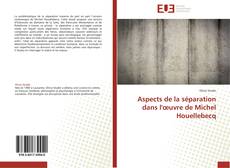 Capa do livro de Aspects de la séparation dans l'œuvre de Michel Houellebecq 