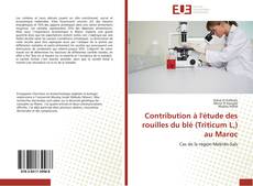 Bookcover of Contribution à l'étude des rouilles du blé (Triticum L,) au Maroc
