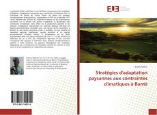 Capa do livro de Stratégies d'adaptation paysannes aux contraintes climatiques à Bantè 