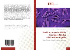 Bacillus cereus isolée de fromages fondus fabriqués en Algérie kitap kapağı