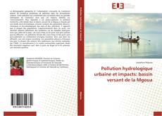 Buchcover von Pollution hydrologique urbaine et impacts: bassin versant de la Mgoua