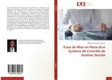 Bookcover of Essai de Mise en Place d'un Système de Contrôle de Gestion Sociale
