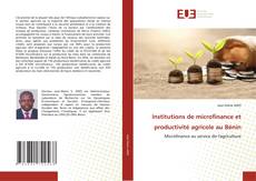 Bookcover of Institutions de microfinance et productivité agricole au Bénin