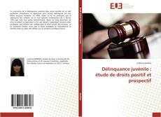 Bookcover of Délinquance juvénile : étude de droits positif et prospectif