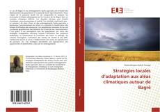 Copertina di Stratégies locales d’adaptation aux aléas climatiques autour de Bagré