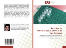 Copertina di Synthèse de nanomatériaux par voie de chimie douce