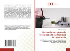 Bookcover of Recherche des gènes de tolérance à la salinité chez M. truncatula