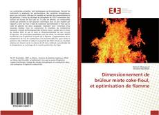 Dimensionnement de brûleur mixte coke-fioul, et optimisation de flamme kitap kapağı