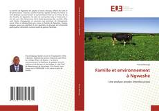 Capa do livro de Famille et environnement à Ngweshe 