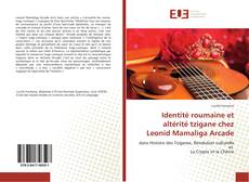 Bookcover of Identité roumaine et altérité tzigane chez Leonid Mamaliga Arcade