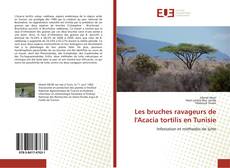 Copertina di Les bruches ravageurs de l'Acacia tortilis en Tunisie