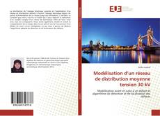 Capa do livro de Modélisation d’un réseau de distribution moyenne tension 30 kV 