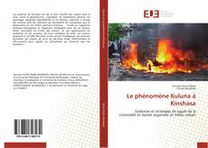 Le phénomène Kuluna à Kinshasa kitap kapağı