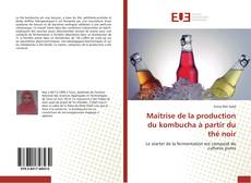 Bookcover of Maîtrise de la production du kombucha à partir du thé noir