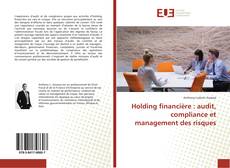Holding financière : audit, compliance et management des risques的封面