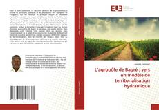 Copertina di L’agropôle de Bagré : vers un modèle de territorialisation hydraulique