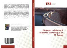 Bookcover of Dépenses publiques & croissance économique en RD Congo