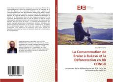Обложка La Consommation de Braise à Bukavu et la Déforestation en RD CONGO