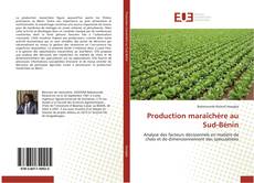 Capa do livro de Production maraîchère au Sud-Bénin 