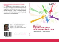 Jóvenes organizaciones y sentidos de la acción kitap kapağı