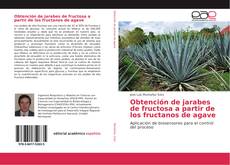 Обложка Obtención de jarabes de fructosa a partir de los fructanos de agave