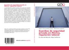 Guardias de seguridad privada en México, regulación laboral kitap kapağı