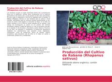 Producción del Cultivo de Rabano (Rhapanus sativus) kitap kapağı