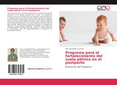 Programa para el fortalecimiento del suelo pélvico en el postparto的封面