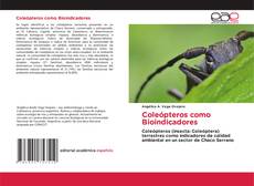 Обложка Coleópteros como Bioindicadores