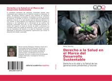 Derecho a la Salud en el Marco del Desarrollo Sustentable的封面