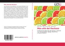 Más allá del flechazo kitap kapağı