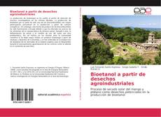 Borítókép a  Bioetanol a partir de desechos agroindustriales - hoz