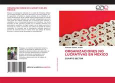 ORGANIZACIONES NO LUCRATIVAS EN MÉXICO的封面