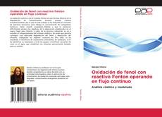 Oxidación de fenol con reactivo Fenton operando en flujo continuo的封面