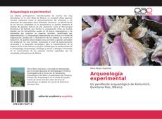 Arqueología experimental kitap kapağı