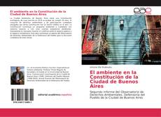 El ambiente en la Constitución de la Ciudad de Buenos Aires kitap kapağı