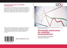 Economía mexicana: un análisis econométrico kitap kapağı