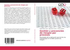 Gestión y prevención de riesgos por procesos的封面