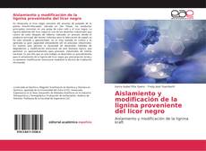 Copertina di Aislamiento y modificación de la lignina proveniente del licor negro