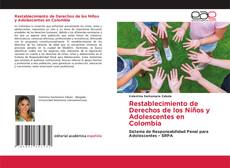 Restablecimiento de Derechos de los Niños y Adolescentes en Colombia的封面