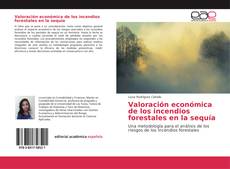 Обложка Valoración económica de los incendios forestales en la sequía