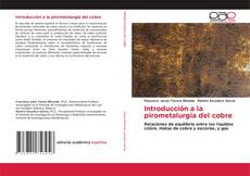 Обложка Introducción a la pirometalurgia del cobre