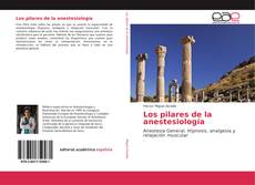 Los pilares de la anestesiología的封面