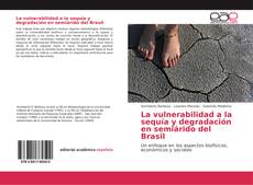 Couverture de La vulnerabilidad a la sequía y degradación en semiárido del Brasil