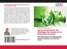 Buchcover von Aprovechamiento del Mucílago de Cacao en la Economía Circular