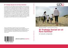 El Trabajo Social en el foro familiar kitap kapağı