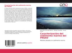 Buchcover von Caracterización del sedimento marino del PNSAV