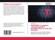 MIPYMES y empleo: categorización, perspectivas y caso de estudio kitap kapağı