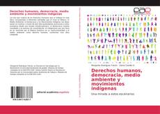 Capa do livro de Derechos humanos, democracia, medio ambiente y movimientos indígenas 