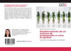 Buchcover von Establecimiento de un sistema de propagación in vitro en girasol